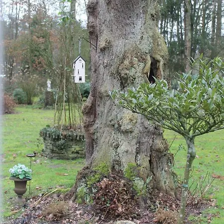 Bed & Breakfast Ons Verwende Nest