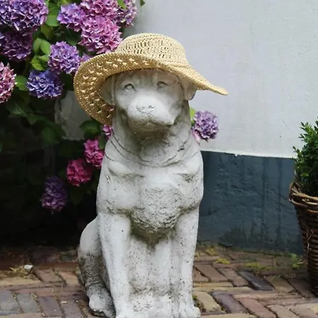 Ons Verwende Nest Epe